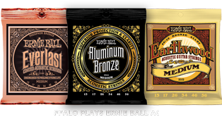 Ernie Ball Phospher Bronze Medium